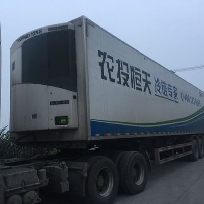 หน่วยตู้เย็น Thermo King 0 C SLXI 300 สําหรับการเย็นอาหาร